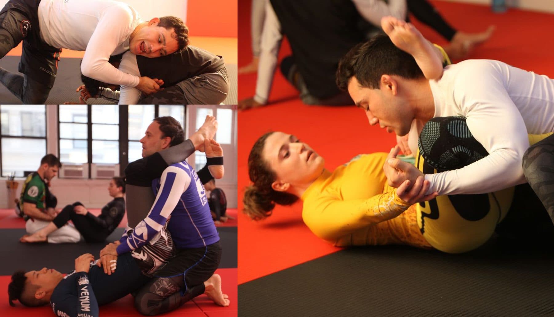 Main image of Paxibellum Brazilian Jiu-Jitsu NYC