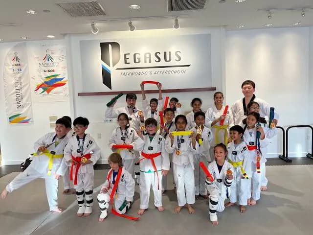 Main image of Pegasus Taekwondo After School