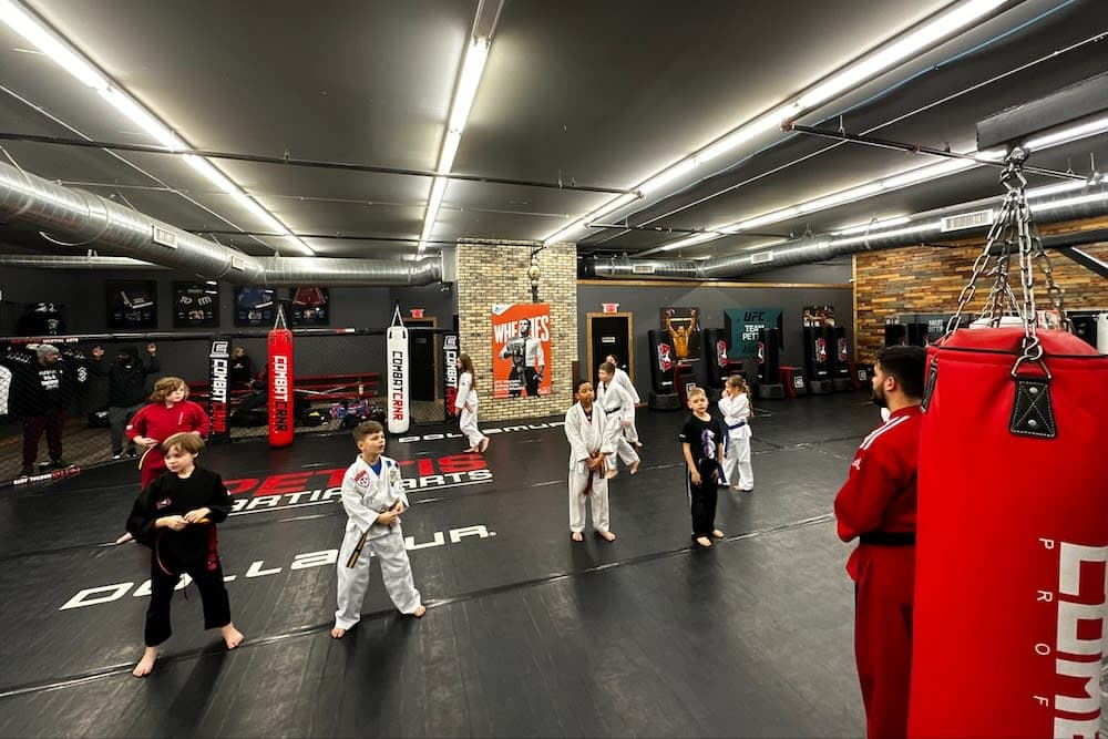 Main image of Pettis Martial Arts