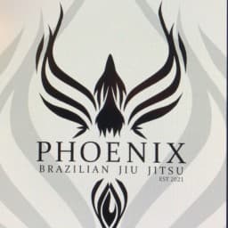 Phoenix Brazilian Jiu Jitsu logo
