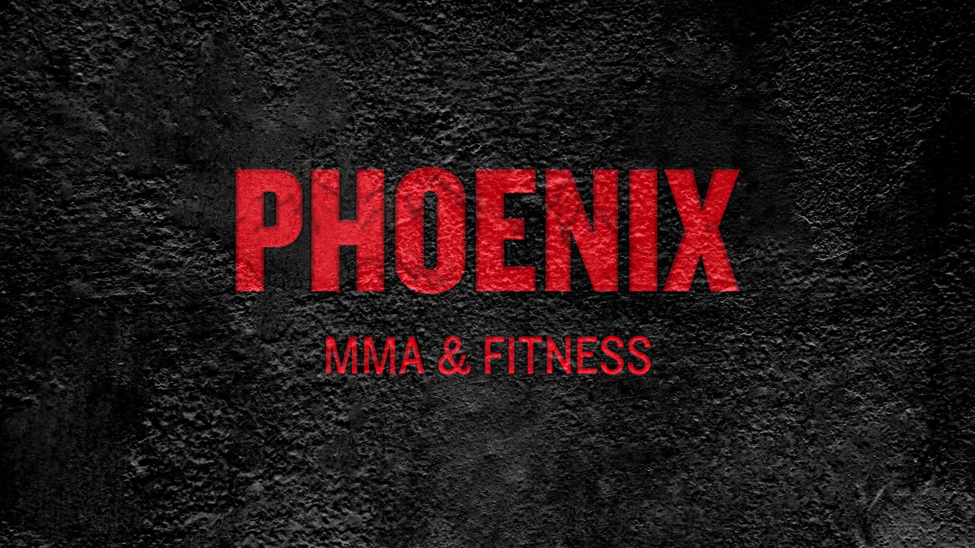 Main image of Phoenix MMA & Fitness