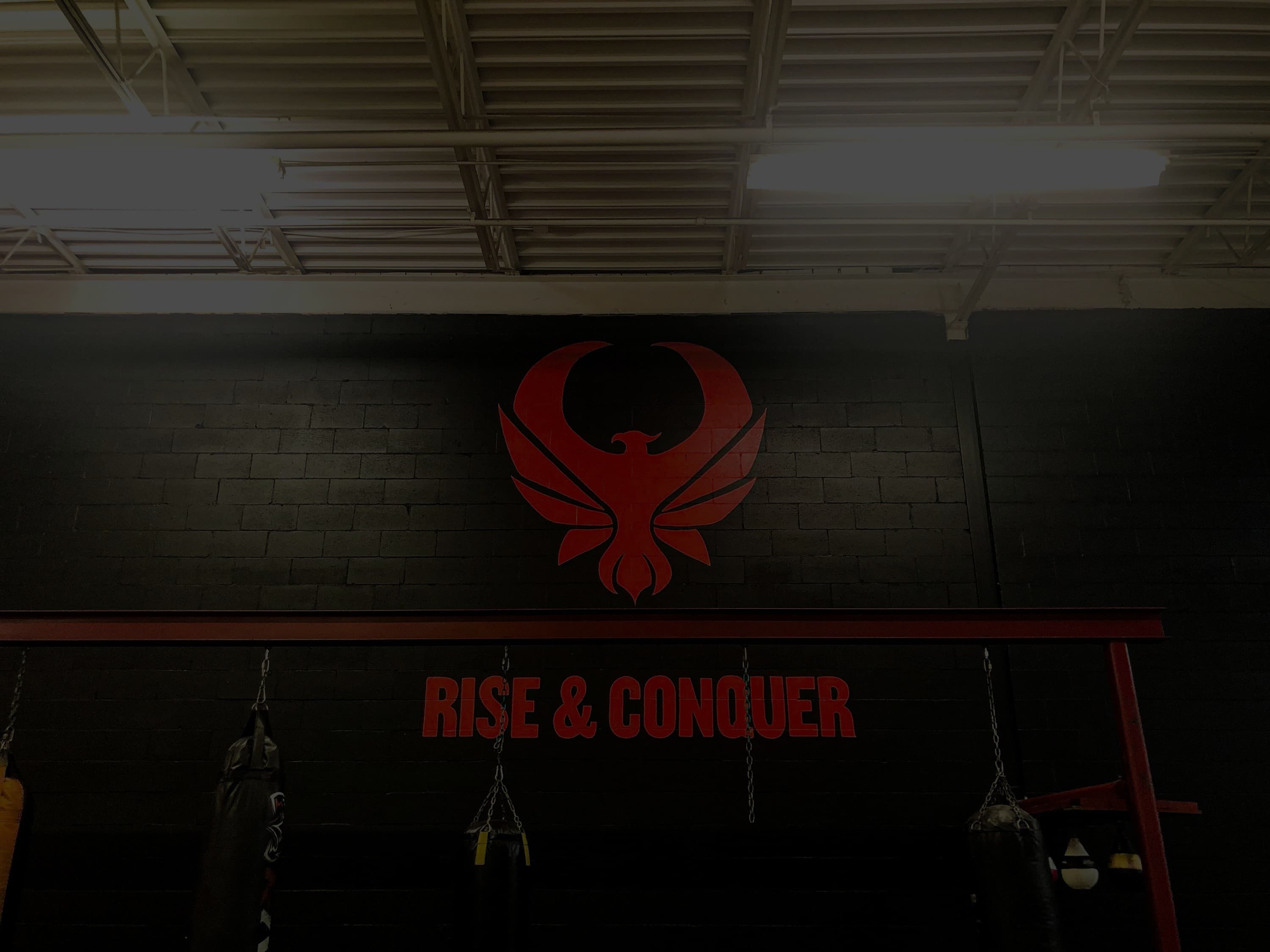 Phoenix MMA & Fitness logo