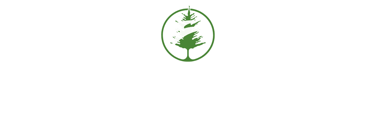 Pine Tree Martial Arts logo