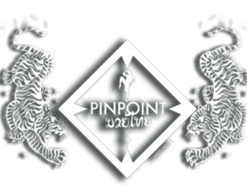 Main image of PinPoint Muay Thai/MMA and fitness