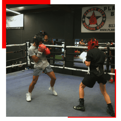 Plant City Boxing gym logo