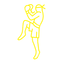 Port Jeff Brazilian Jiu Jitsu logo