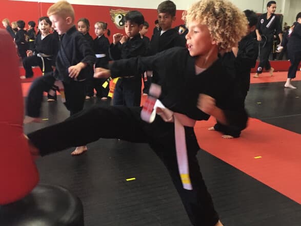 Main image of Power of One Martial Arts - Los Altos