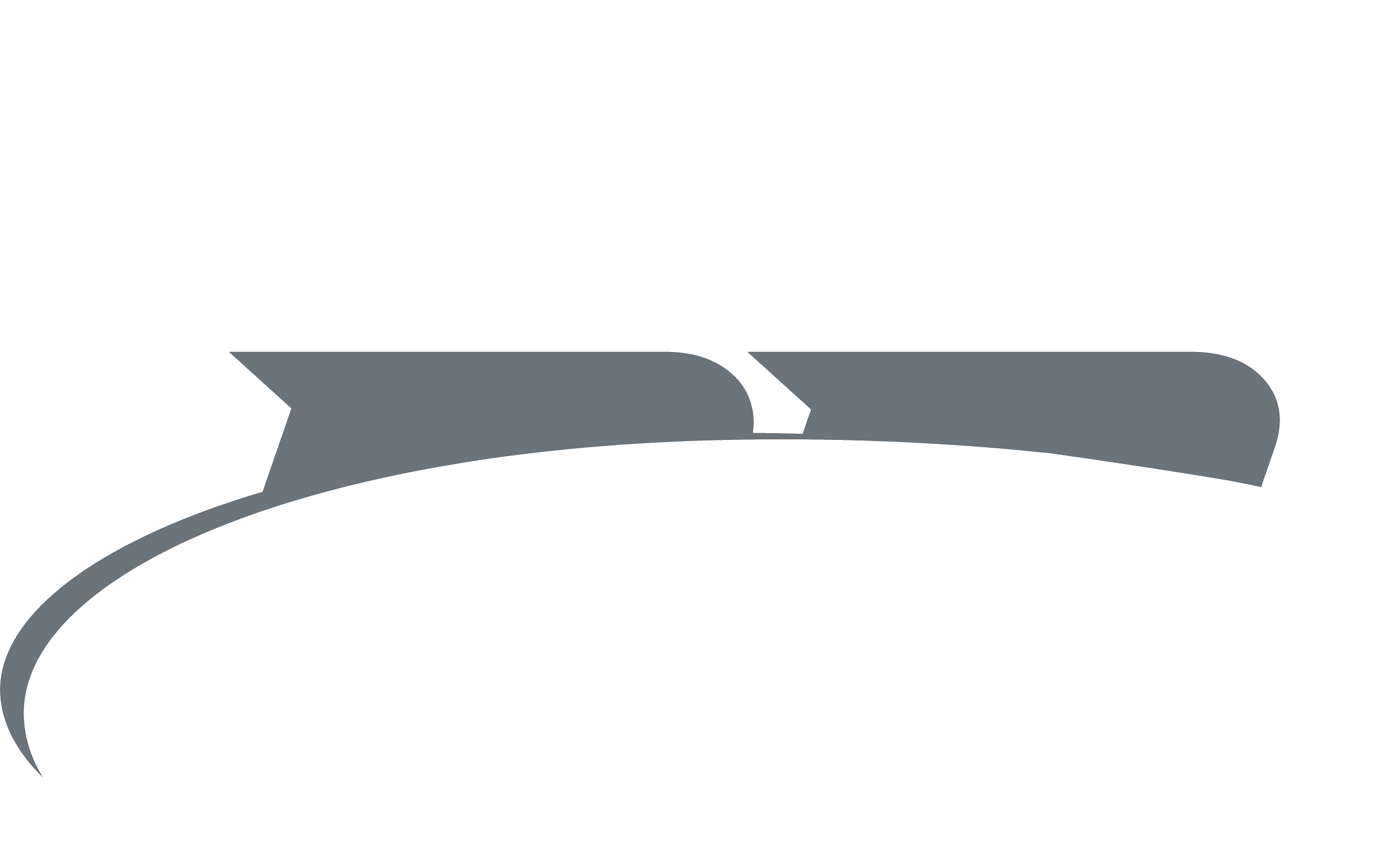 PR Performance logo