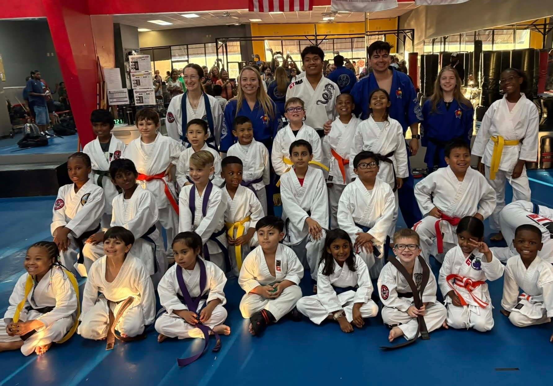 Main image of Premium Martial Arts
