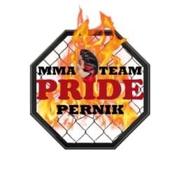 PRIDEE logo