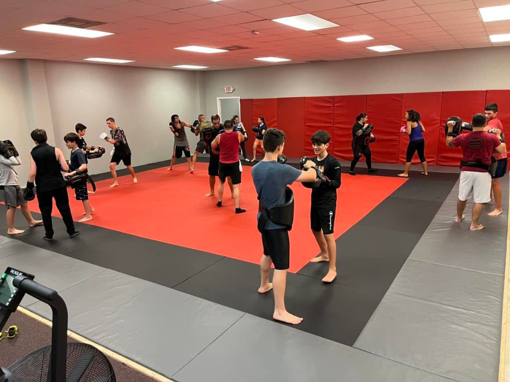 Main image of Primal Striking and BJJ