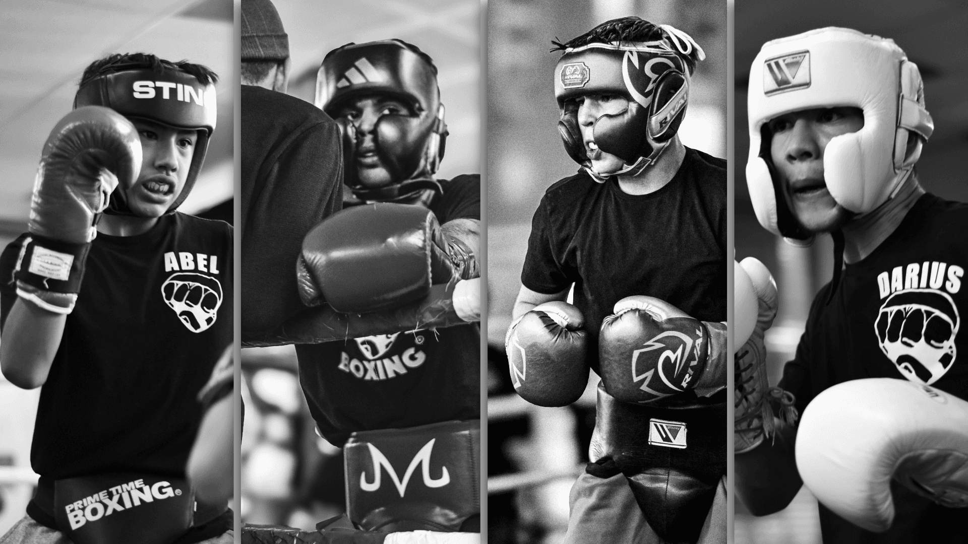 Main image of Prime Time Boxing, Inc.