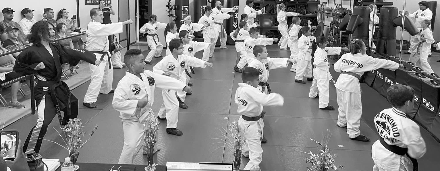 Pro Action Martial Arts logo