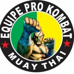 Pro Kombat logo