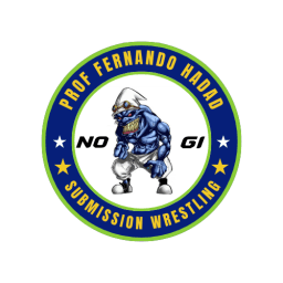 Prof Fernando hadad logo
