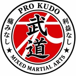 ProkudoMMA logo