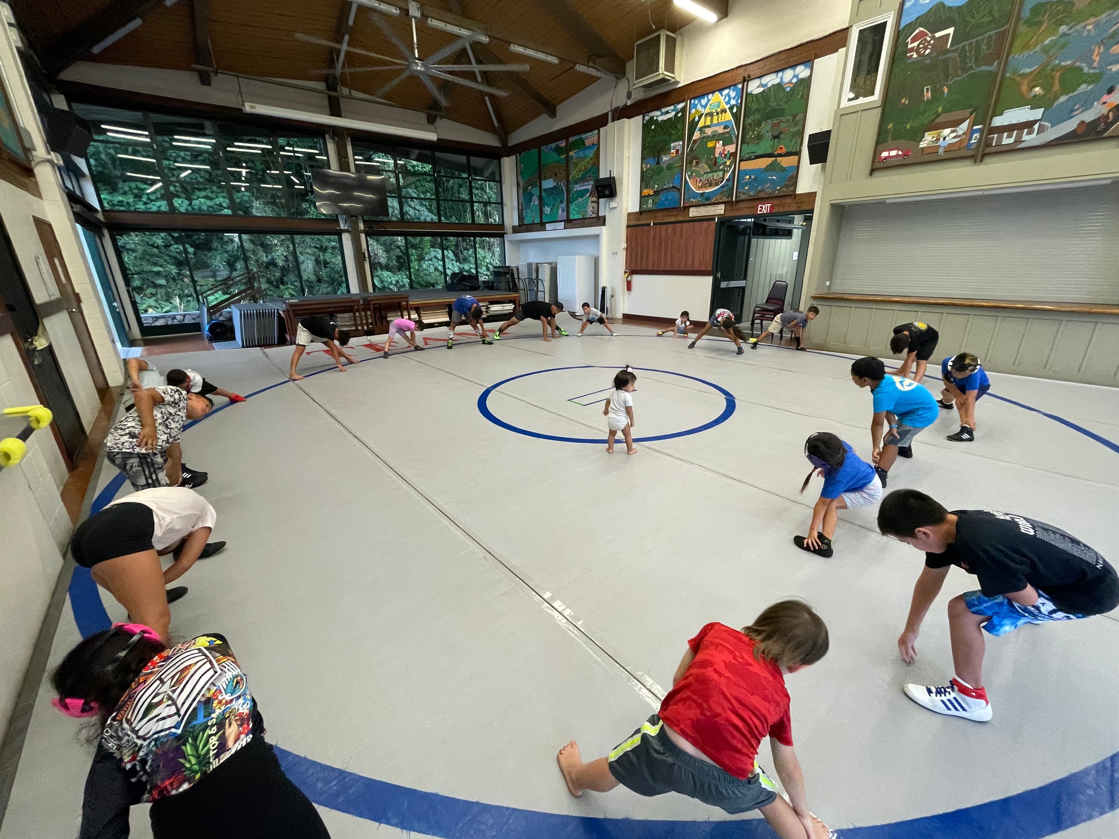 Main image of Pueo Wrestling LLC