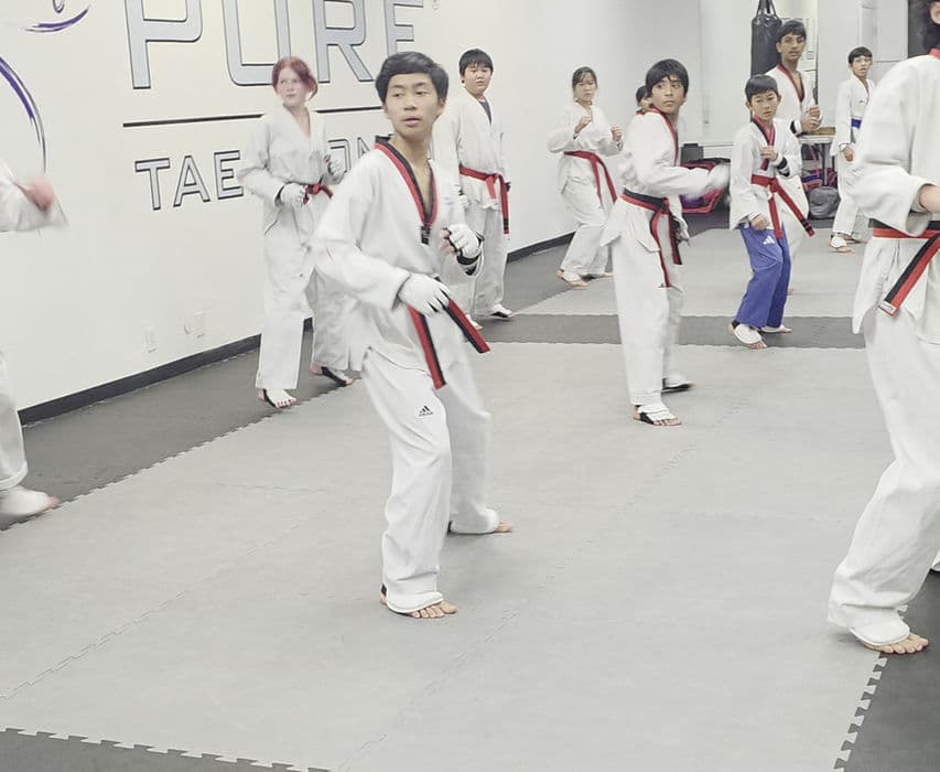 Main image of PURE TAEKWONDO