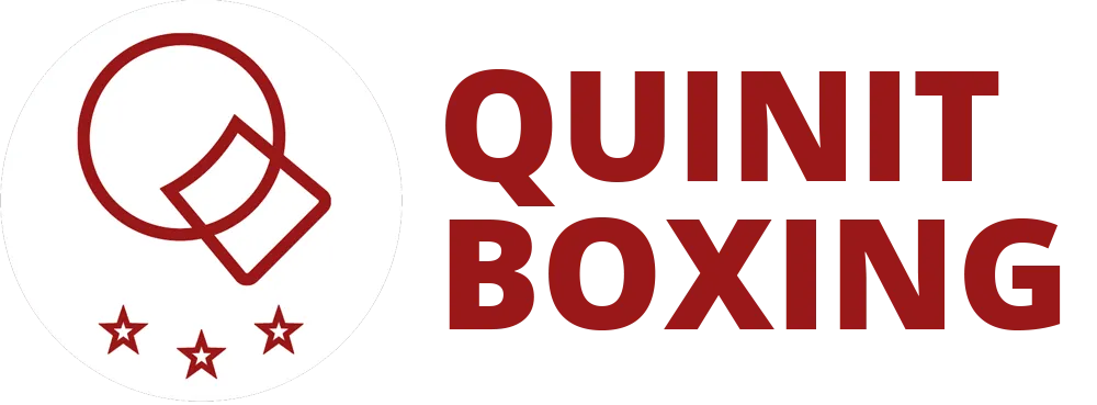 Quinit Boxing Port Coquitlam logo