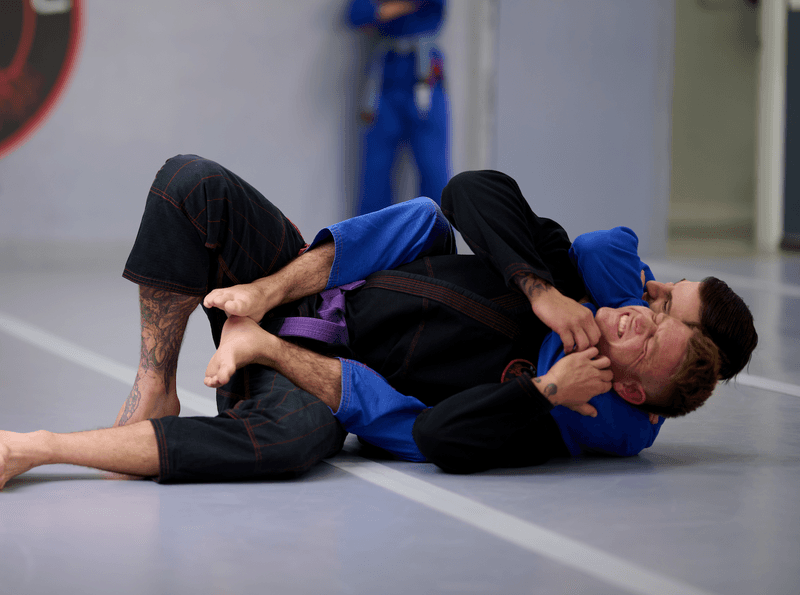 Raiz Jiu Jitsu Sarasota logo