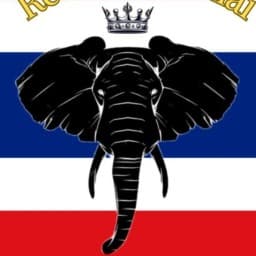 Real Mauy Thai logo