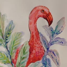 Red Bird Gym logo