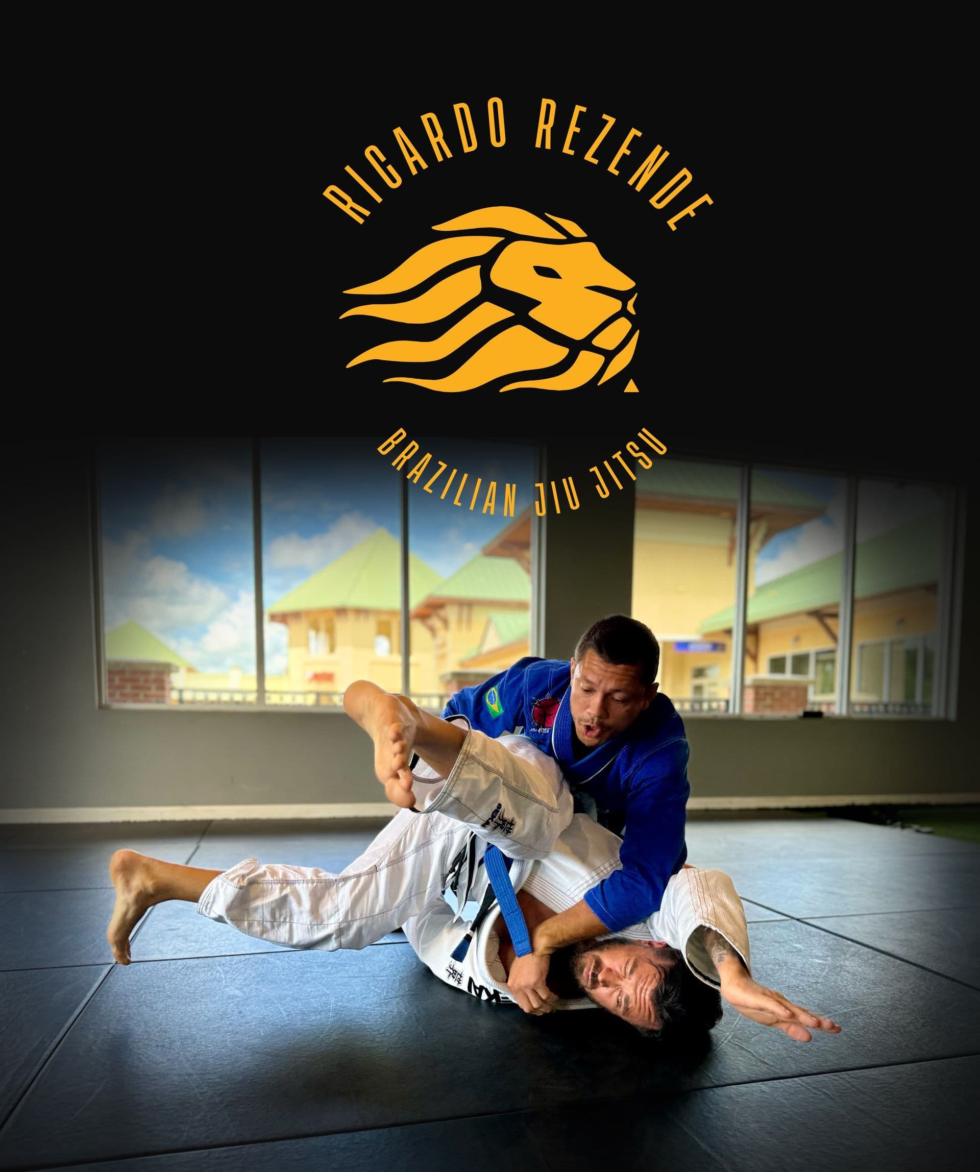 Main image of Ricardo Rezende BJJ