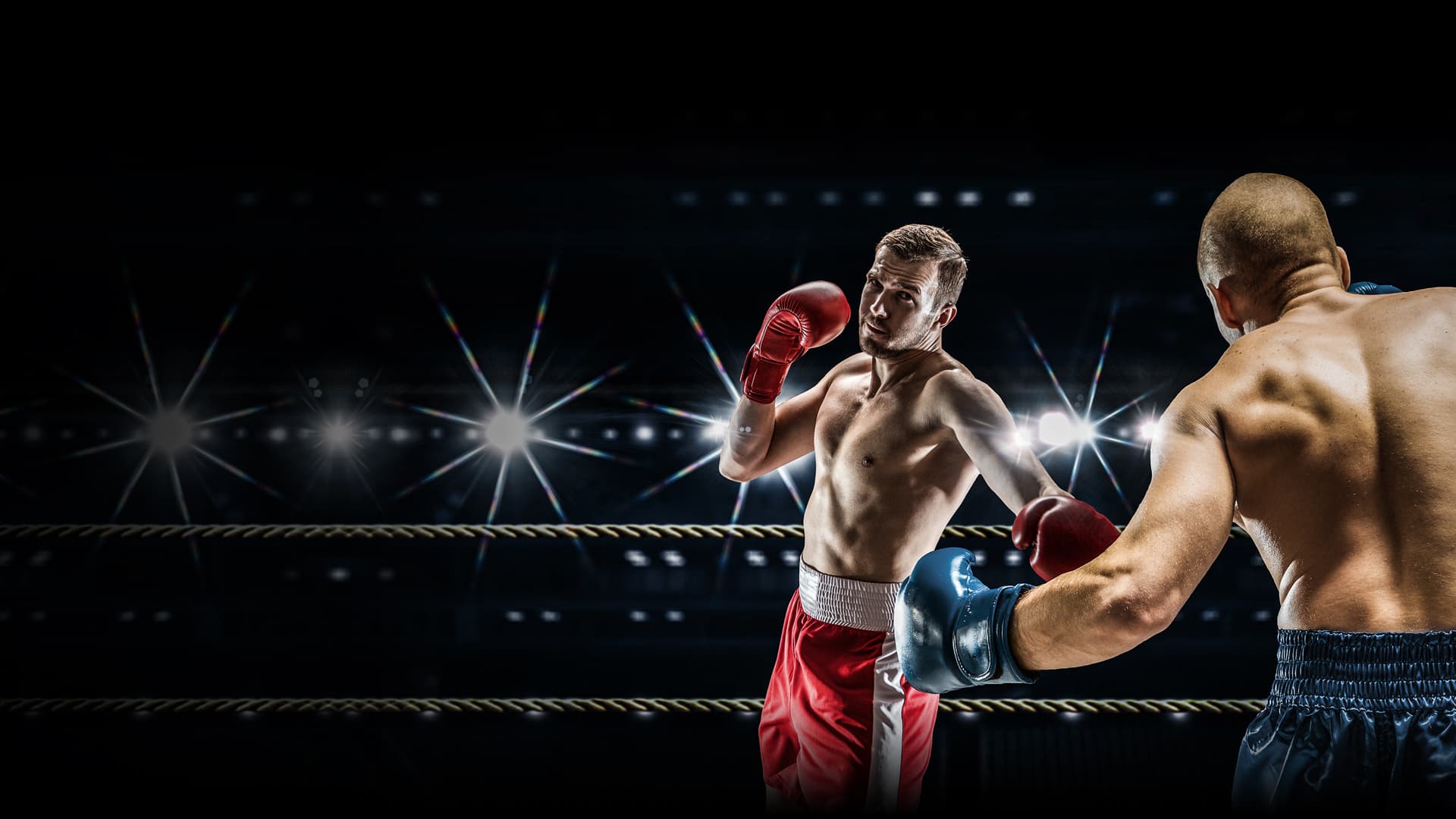 Main image of Ring Of Hope Boxing