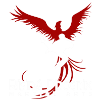 Main image of Rising Phoenix Martial Arts, LLC
