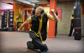 Rochester Shaolin Kung Fu Academy logo