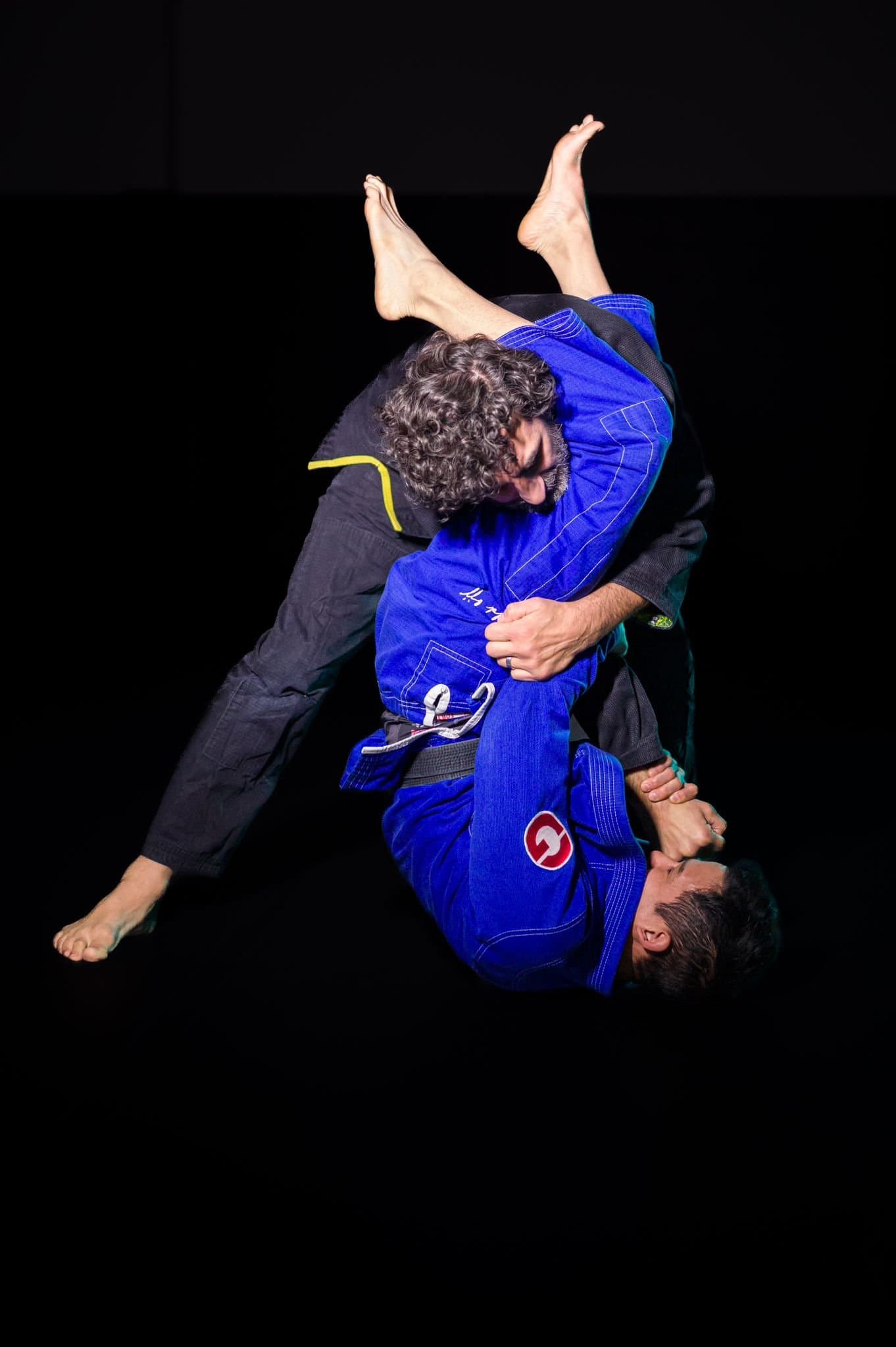 Main image of Rogue Jiu-Jitsu