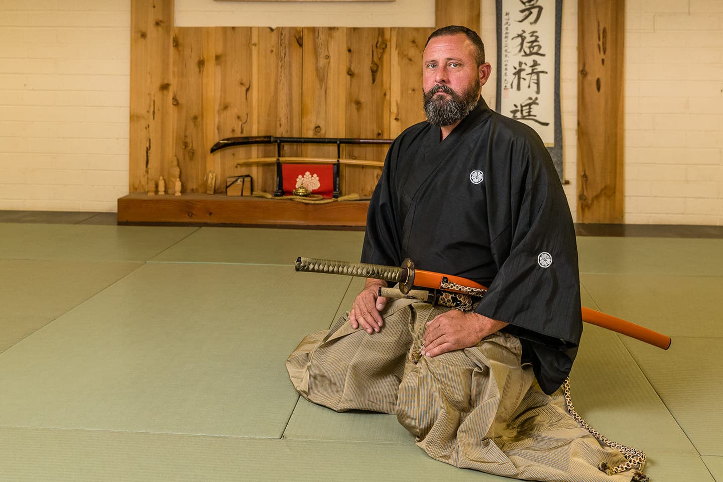 Main image of Ryushinkan Dojo