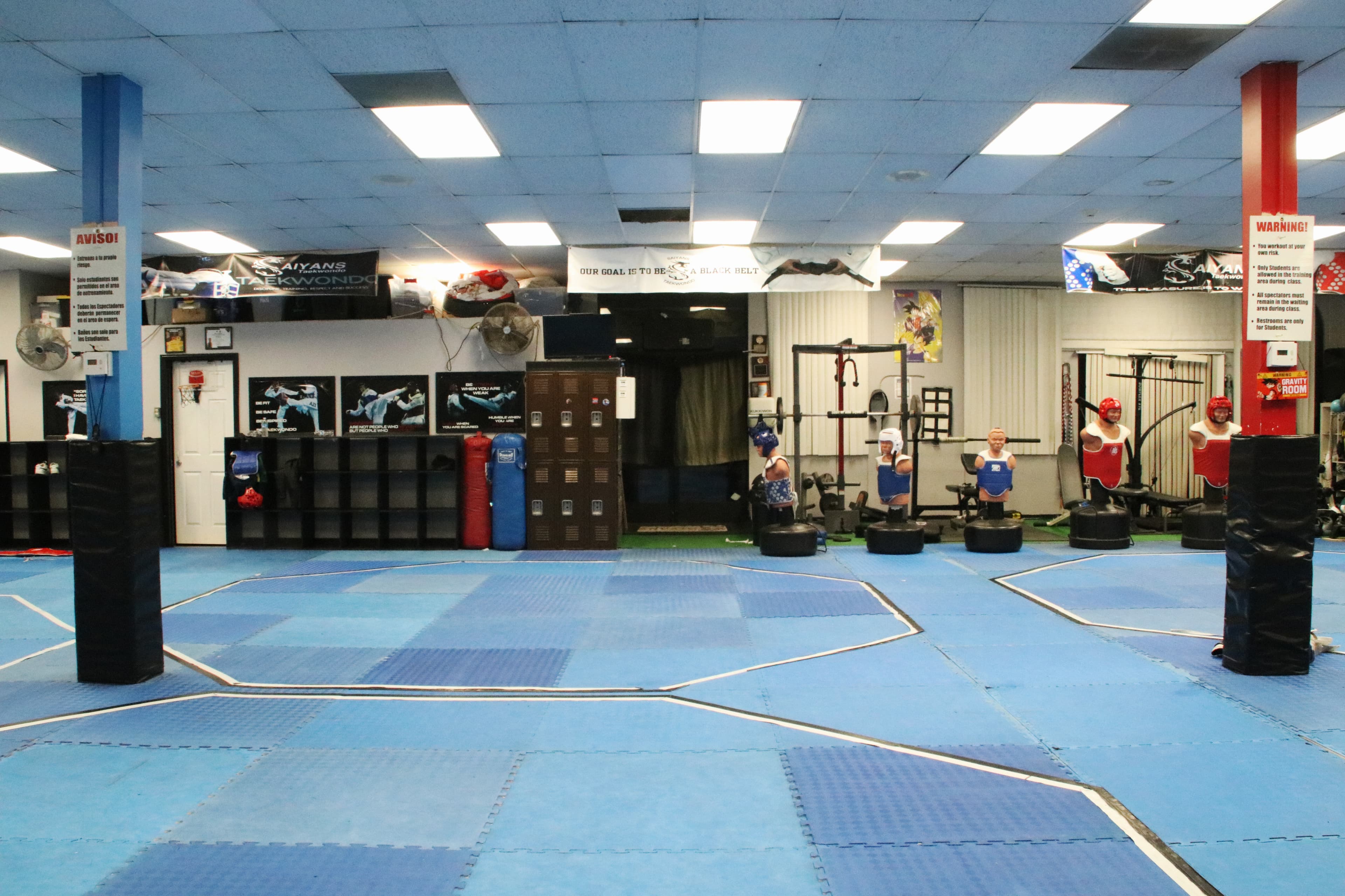 Main image of Saiyans Taekwondo