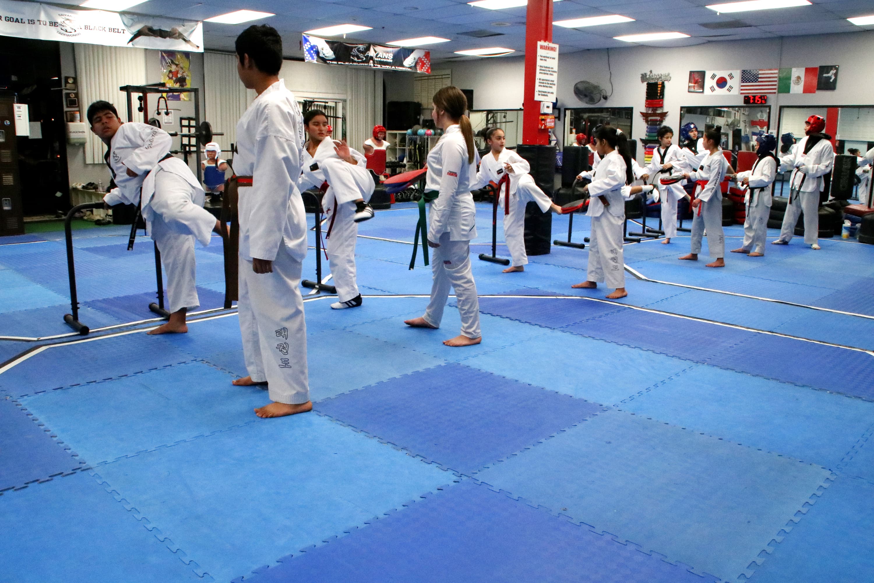 Saiyans Taekwondo logo