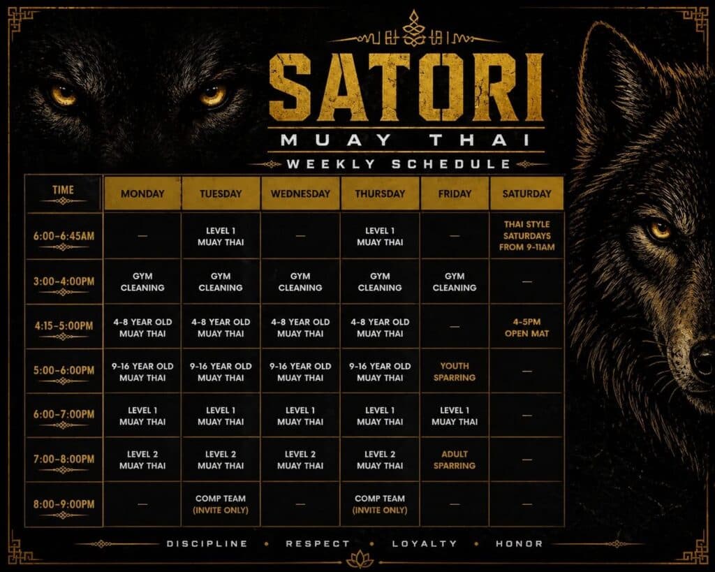 Main image of Satori MMA