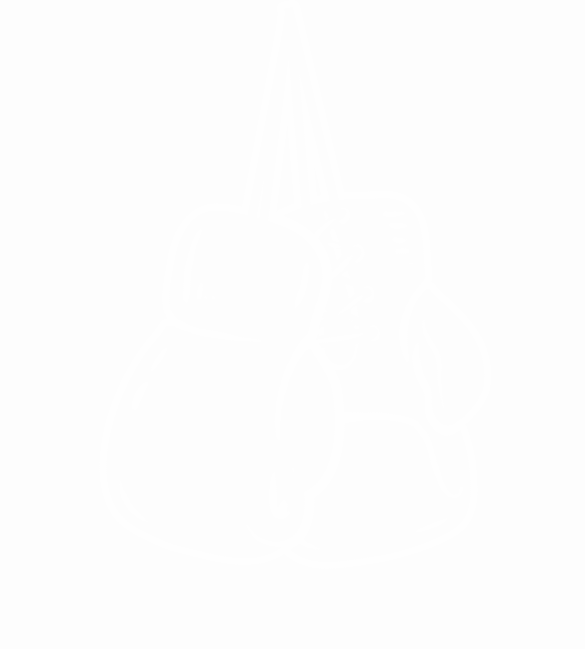 SBG Drogheda logo