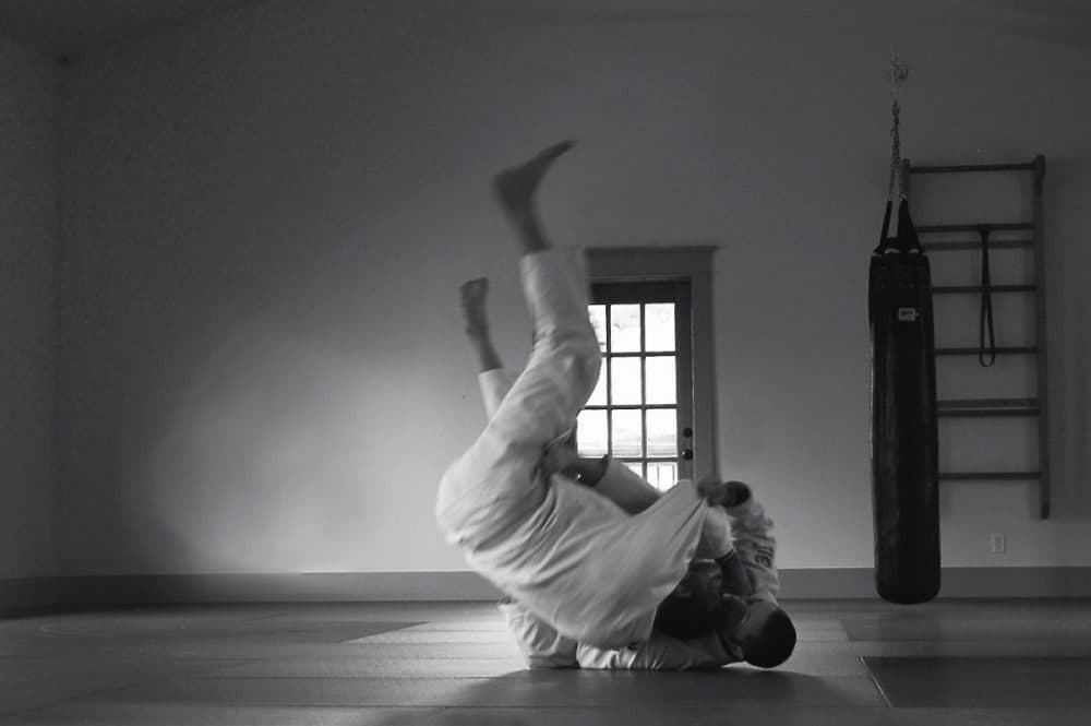 Main image of School of Budo