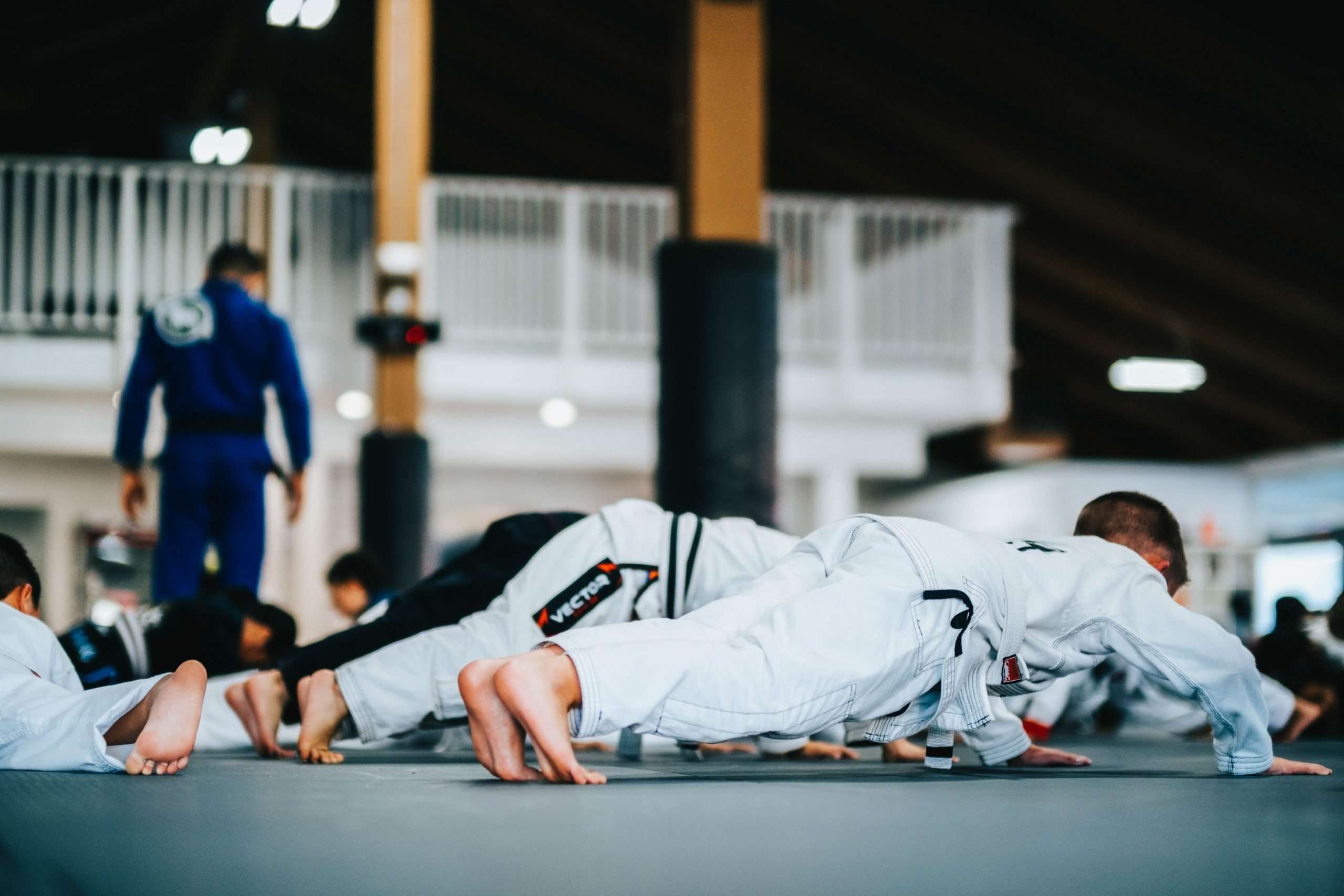 Main image of Sektor Jiu Jitsu Chino