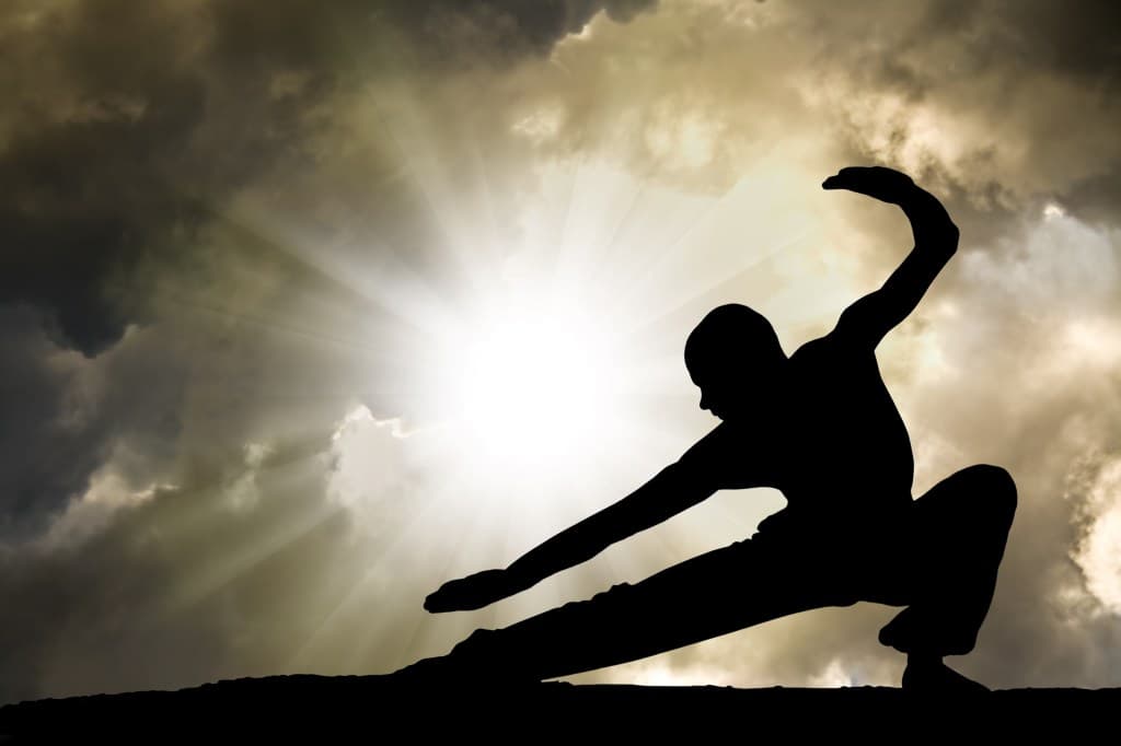 Main image of Shadow Fist Kung Fu and Tai Chi, LLC