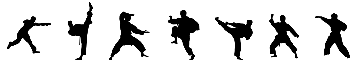 Shaolin Warrior Martial Arts logo