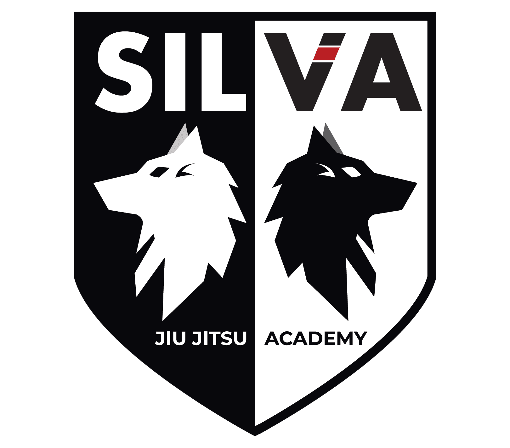 Main image of Silva Jiu Jitsu Academy