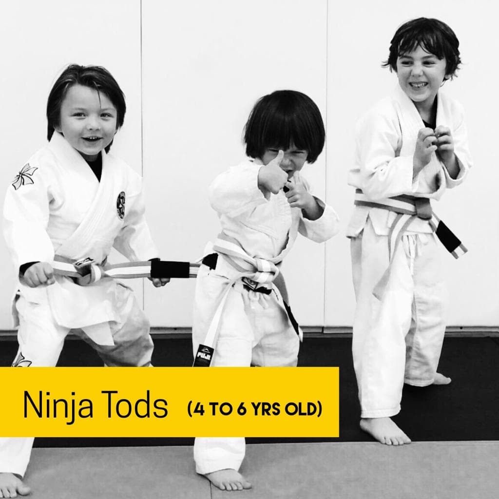 Main image of Six Blades Jiu Jitsu