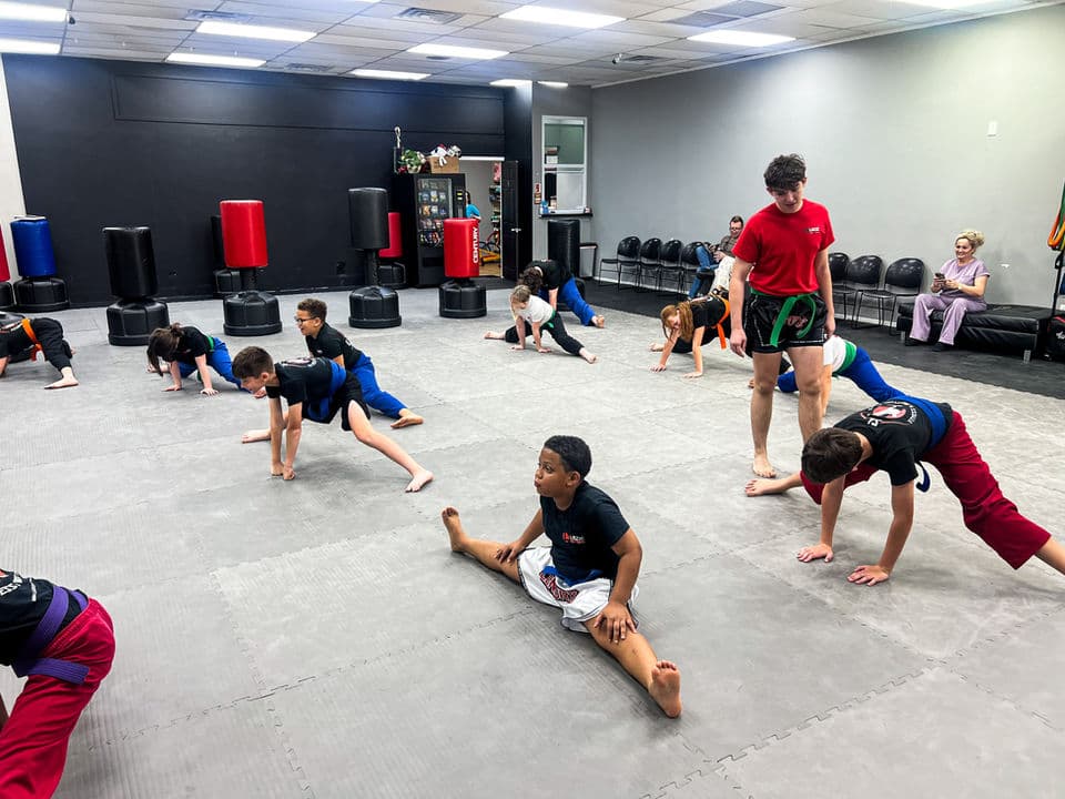 Main image of SL Fitness & Martial Arts