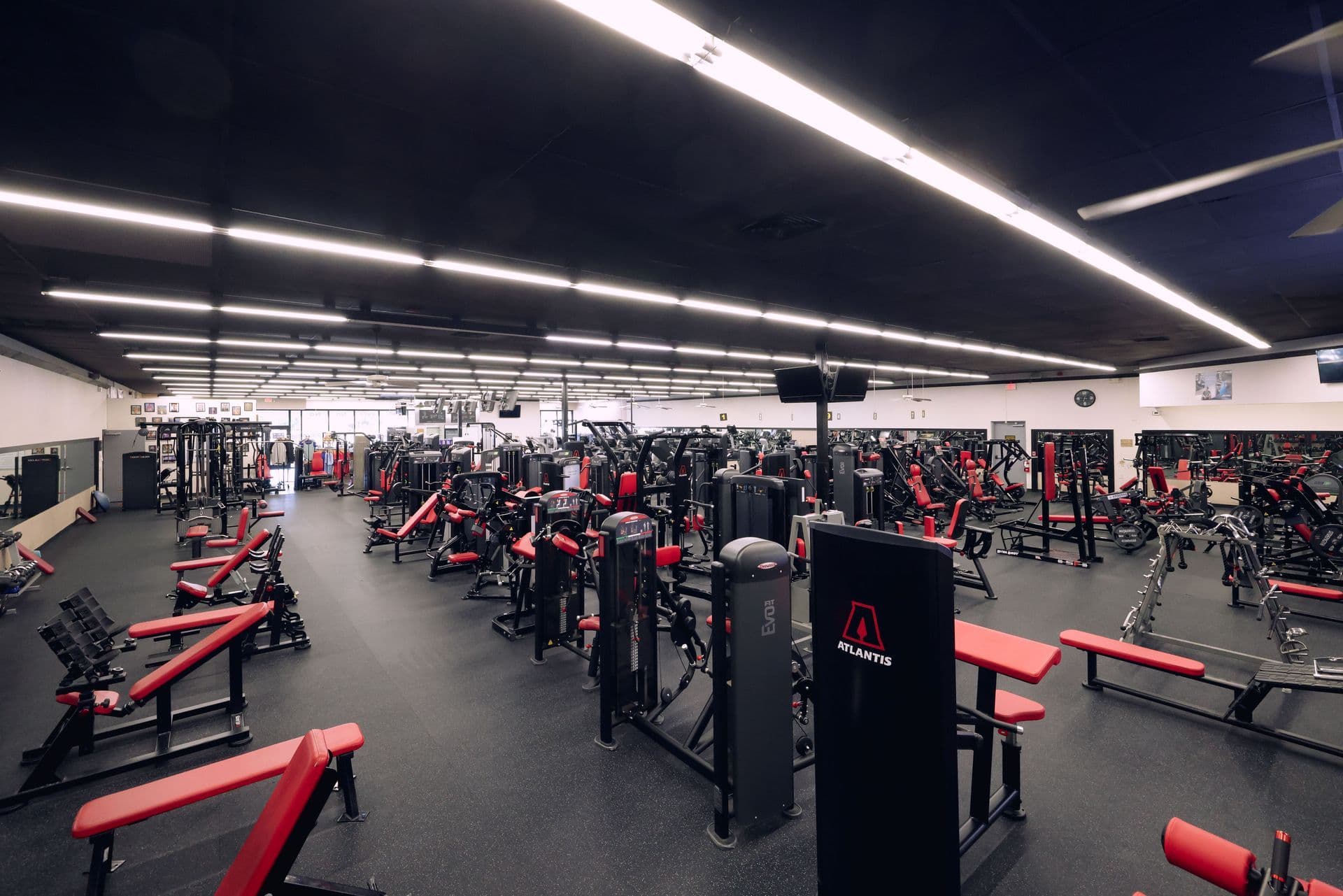 Main image of Smash Fitness