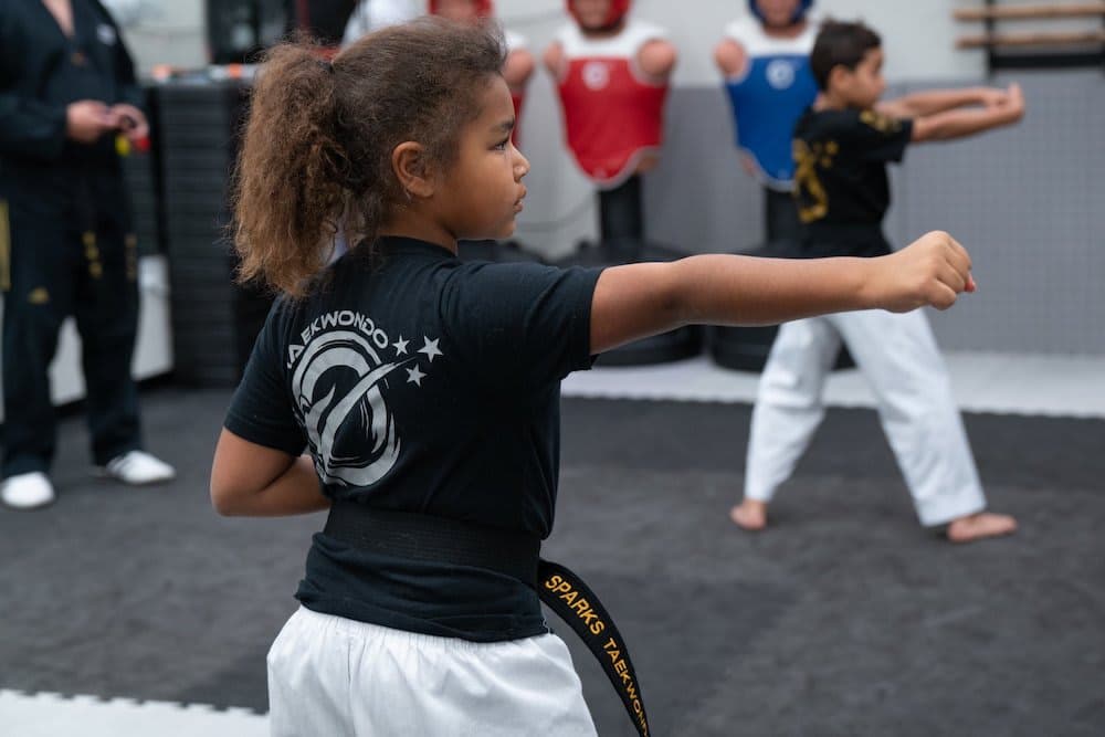 Main image of Sparks Taekwondo