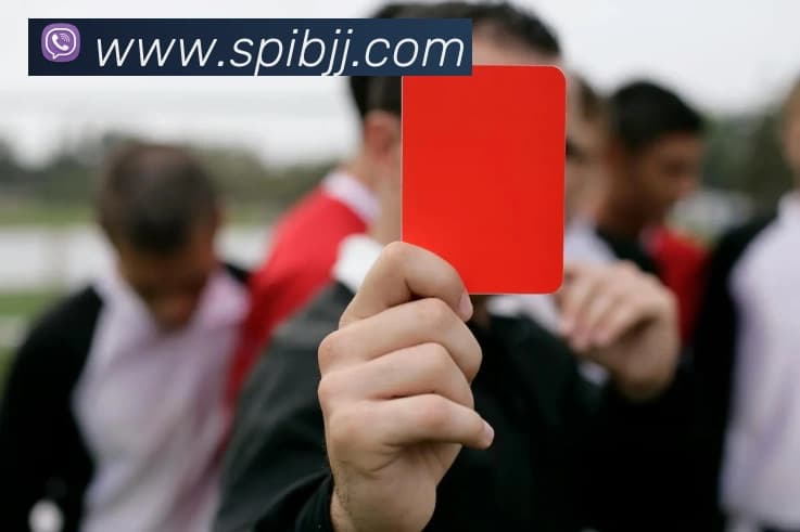 Main image of SPI BJJ & Fitness LLC