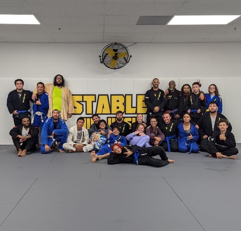 Stable Jiu Jitsu Riverside logo