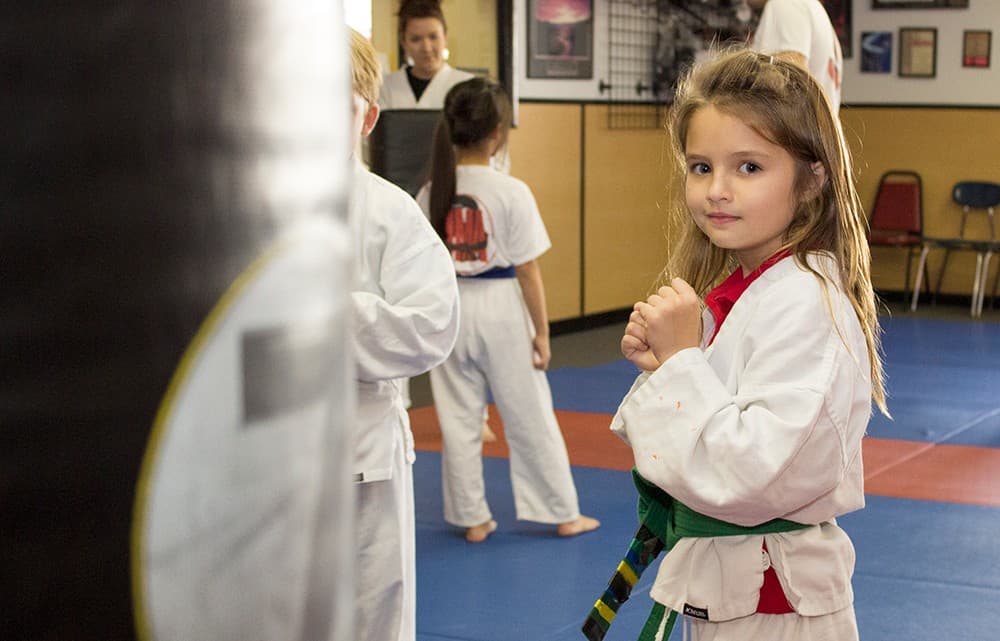 Main image of Stan Lee's United Martial Arts.