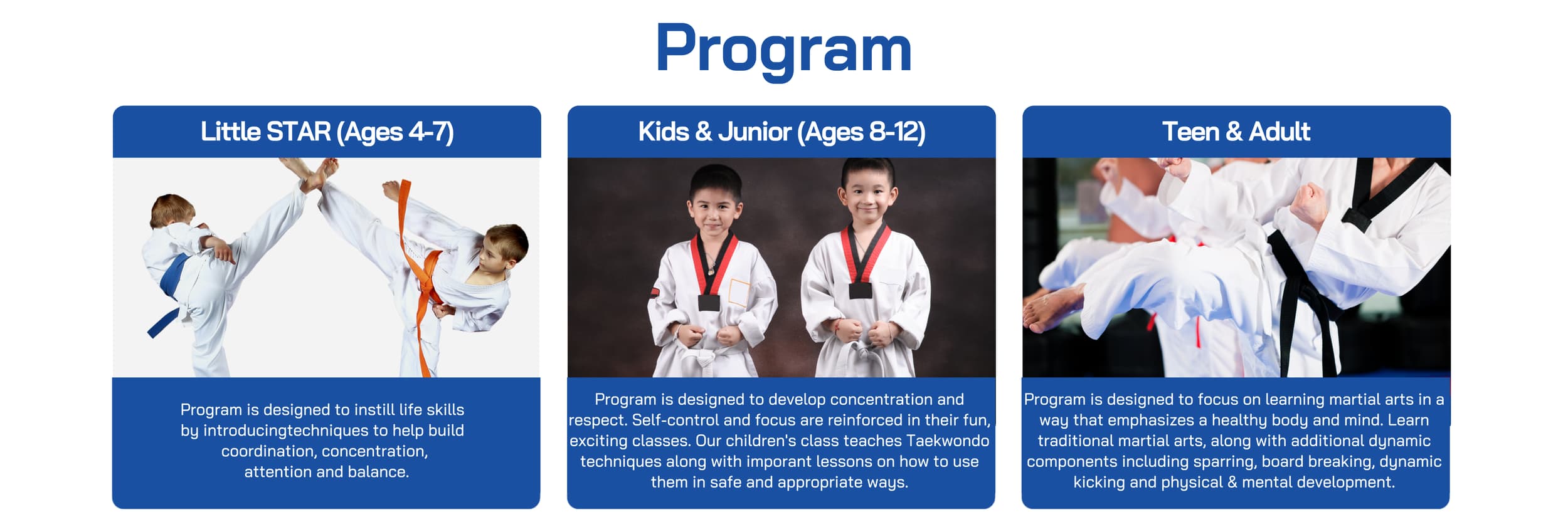 Main image of Star Taekwondo Academy