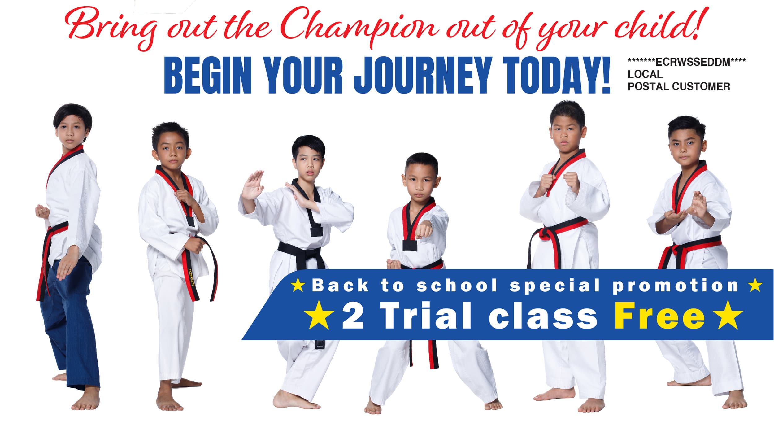 Star Taekwondo Academy logo